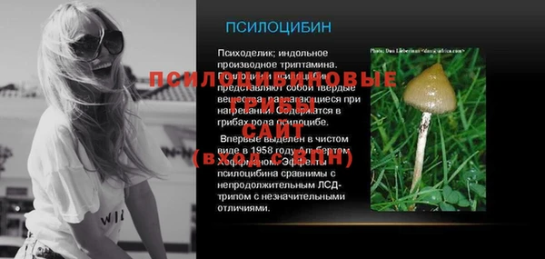 кристаллы Снежногорск