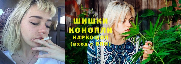 шишки Волосово