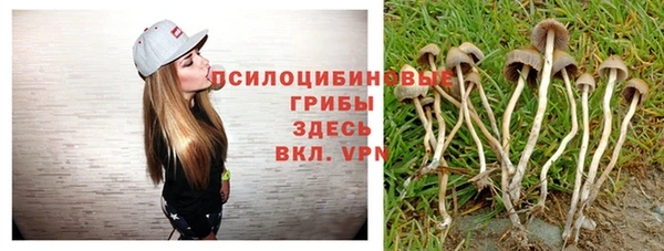дмт Слюдянка