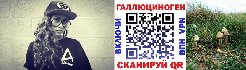 kraken   как найти закладки  Мытищи  Псилоцибиновые грибы GOLDEN TEACHER 
